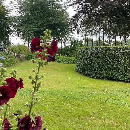 Cozy In The Countryside In Beautiful Nature Vinderup