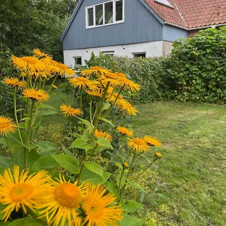 Cozy In The Countryside In Beautiful Nature Vinderup